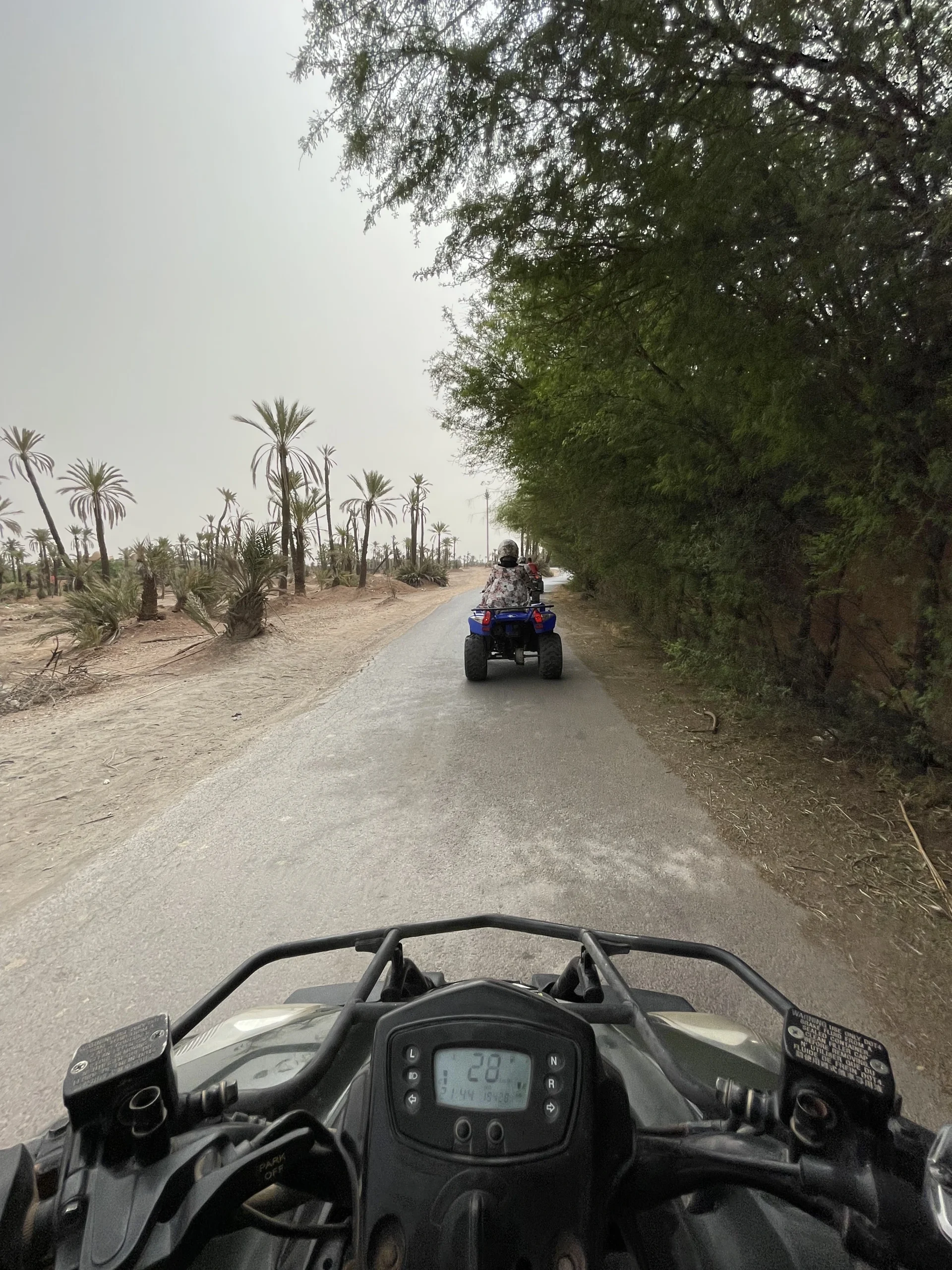 Quad escape in the magnificent Palm Grove of Marrakech